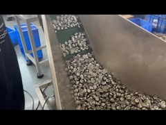 Μετρημένη βαλβίδα αερόλυσης βαλβίδα μετρητής αερόλυσης ένα ίντσες πλαστικό στέλεχος βαλβίδα μετρητής ένα ίντσες μετρητής va