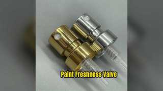 Το Paint Can Valve Seal & Preserve Paint